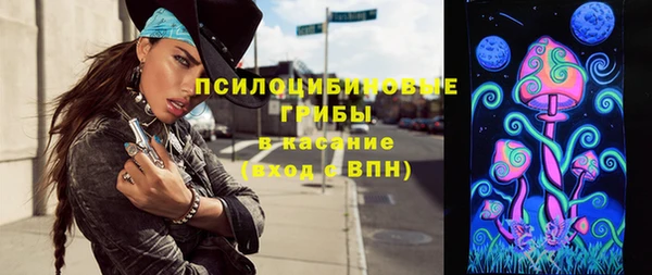 дмт Каменногорск